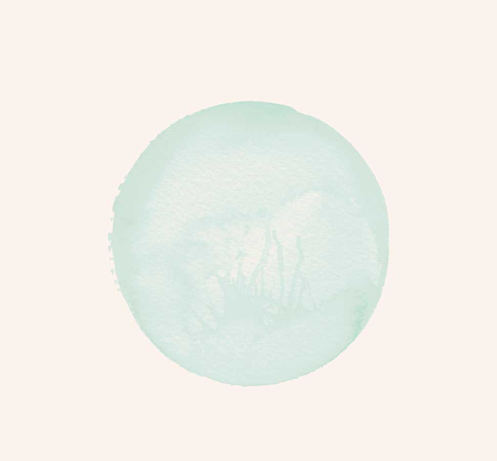 clean beauty